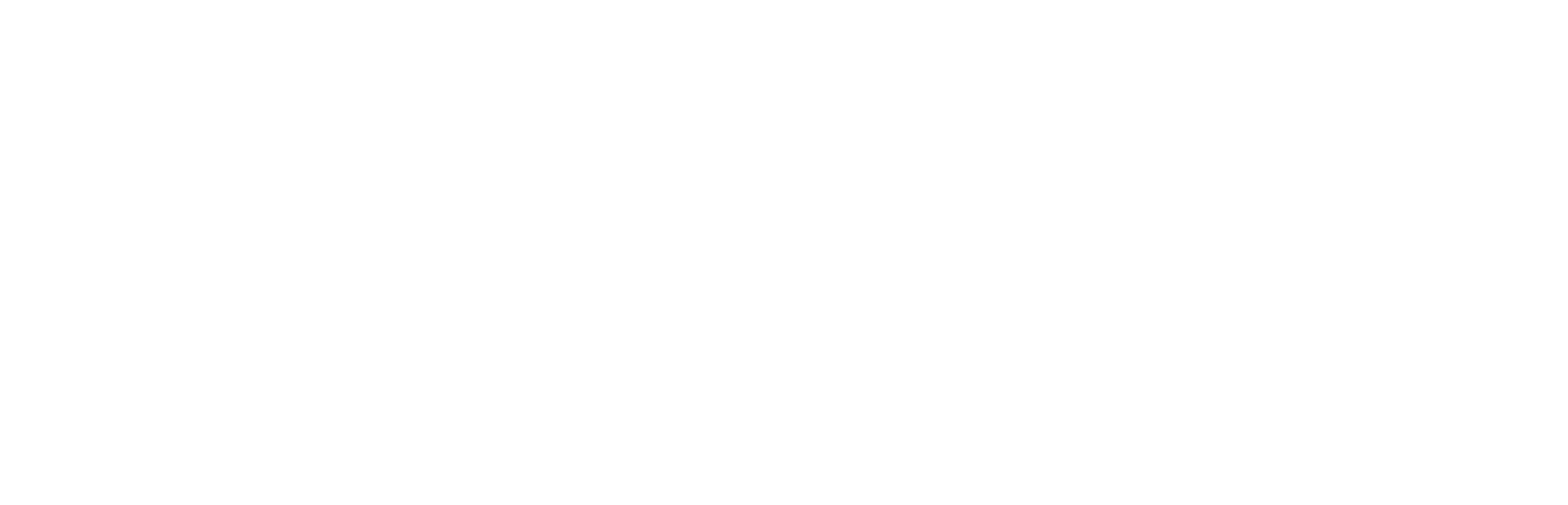 menzolit logo white
